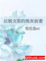 后娘文里的炮灰前妻图片
