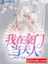《我在豪门当夫人》全本TXT下载-作者：凤轻