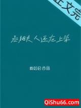 《丞相大人养妻日常》全本TXT下载-作者：慕如初