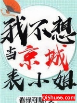 我不想当京城表小姐啊！！图片