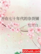 开在七十年代的杂货铺小说