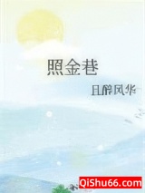 照金巷图片