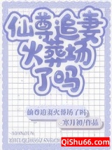 《仙尊追妻火葬场了吗》全本TXT下载-作者：寒月初