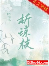 《折琼枝》全本TXT下载-作者：阿瑶也