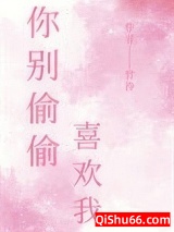你别偷偷喜欢我小说