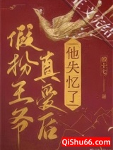 《我要这美貌有何用》全本TXT下载-作者：程十七