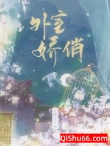 外室娇俏小说