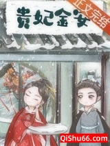 贵妃金安小说
