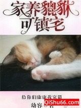 家养貔貅可镇宅图片