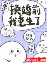 《换亲姐姐重生了[八零]》全本TXT下载-作者：红叶似火
