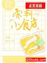 宋朝小食店小说
