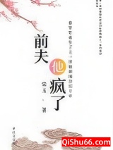 《前夫他疯了（重生）》全本TXT下载-作者：荣玉