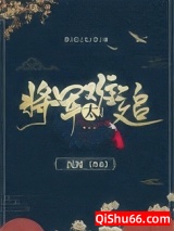 《重生之将军太难追》全本TXT下载-作者：沉闻