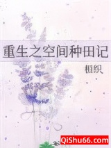 《重生之空间种田记》全本TXT下载-作者：桓织