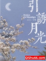 引诱月光图片
