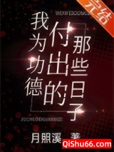 《我为功德付出的那些日子》全本TXT下载-作者：月照溪