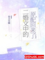 《二婚文中的原配回来了[七零]》全本TXT下载-作者：黎未央