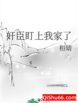 奸臣盯上我家了图片