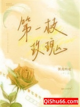 《第一枝玫瑰》全本TXT下载-作者：纵虎嗅花