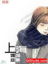 《上海婚姻故事》全本TXT下载-作者：轻侯
