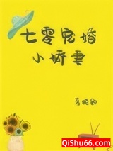 七零宠婚小娇妻[穿书]图片