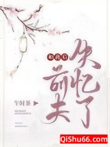 《和离后前夫失忆了》全本TXT下载-作者：午时茶