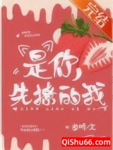 《是你先撩的我》全本TXT下载-作者：岁听
