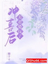《冲喜后夫君造反了》全本TXT下载-作者：糖十