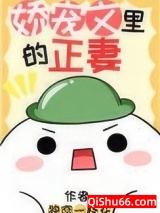 娇宠文里的正妻图片