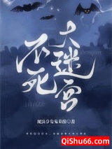 不死大迷宫小说