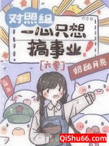 《对照组一心只想搞事业[六零]》全本TXT下载-作者：奶酪月亮
