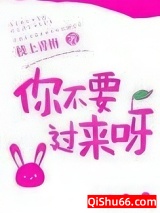 《你不要过来呀》全本TXT下载-作者：枝上青梅