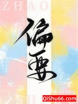 偏要小说