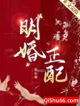 明婚正配图片