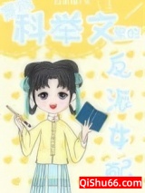 穿成科举文里的反派女配图片