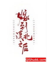 《嫁到漠北以后》全本TXT下载-作者：锅包粽