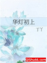 《华灯初上》全本TXT下载-作者：丁丫