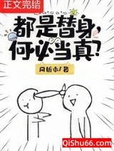 都是替身，何必当真？小说
