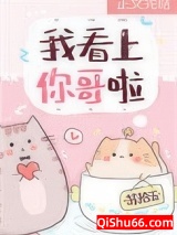 《我看上你哥啦》全本TXT下载-作者：苏拾五