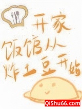 《开家饭馆从炸土豆开始》全本TXT下载-作者：梳云一坠