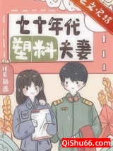 《七十年代塑料夫妻》全本TXT下载-作者：川不辞盈