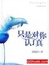 《只是对你认了真》全本TXT下载-作者：清枫语