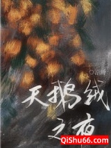 《天鹅绒之夜》全本TXT下载-作者：凉蝉