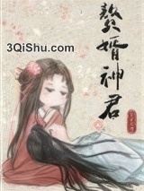 赘婿神君图片