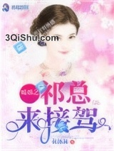 《暖婚之祁总来接驾》全本TXT下载-作者：林沐林