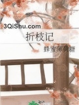 折枝记图片