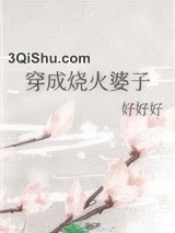 穿成烧火婆子图片