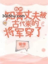 我的知青丈夫被古代来的将军穿了图片