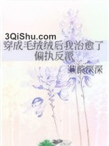 穿成毛绒绒后我治愈了偏执反派图片