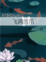飞鸿雪爪图片